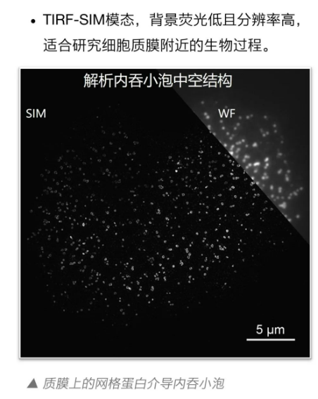 蔡司携纳析科技推出新一代Multi-SIM,共探细胞微观世界