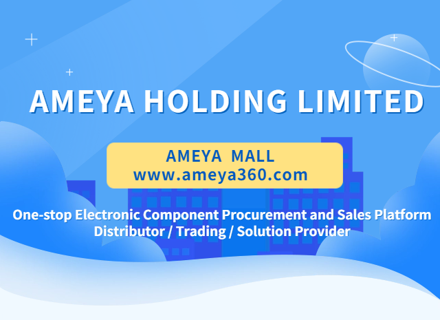 About Ameya Holding Limited