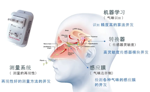 将花香转化为“语言” | 太阳诱电气味传感器产品特点及行业解决方案