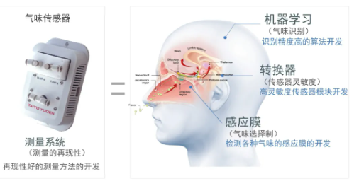 太阳诱电气味传感器：致力于模仿人类的嗅觉系统进行研发