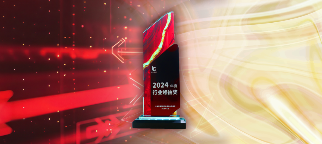帝奥微荣获2024年度行业领袖奖