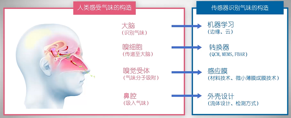 太阳诱电气味传感器：气味可视化技术和解决方案 