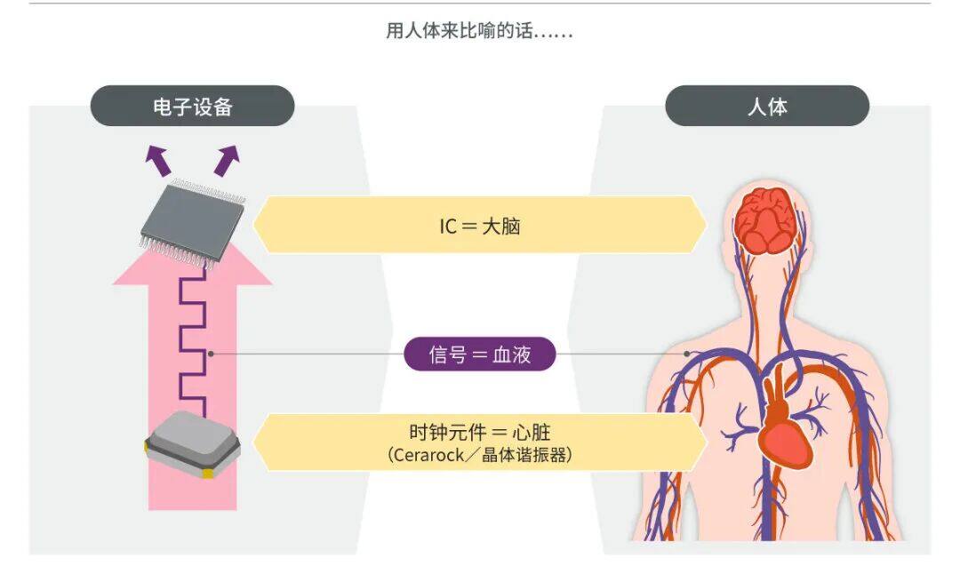 村田丨开拓数据中心光通信市场，时钟元件技术要如何进化？